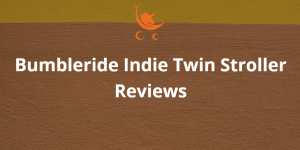 Bumbleride Indie Twin Stroller Reviews